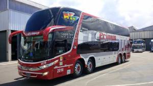 Associação Desportiva ORIENTAL - T.Maio